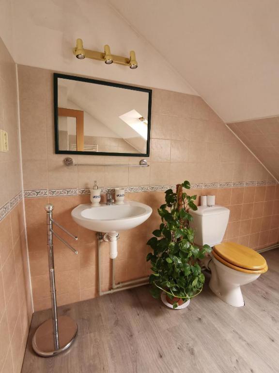 Apartman Skladna Apartment Kosice Luaran gambar
